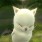 やまる